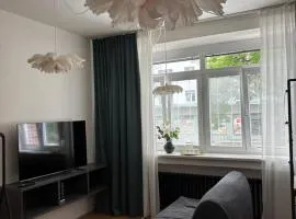 Studio apartment Monte Bu