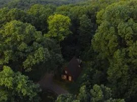 A-Frame #01 - by The Chalets