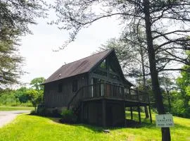 Pine Cone - by The Chalets