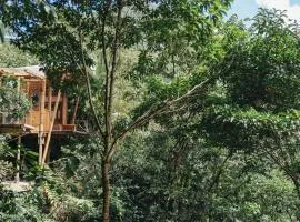 Casa Borojó, Refugio Natural Jacaranda