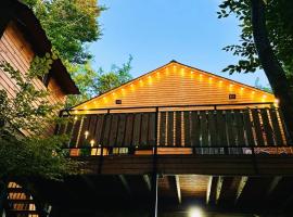 WoodLand Tskhvarichamia，位于Tsʼkhvarichamia的酒店