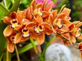 Habitación acogedora en el centro de Cuenca