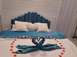 Igloo Rasnov，位于莱斯诺夫的豪华帐篷