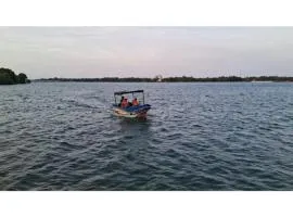 Small Bat Full Package 1