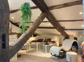 Loft Unique Romantique & Balnéothérapie