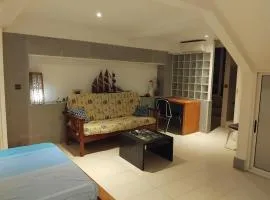 Suite INS