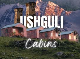 Ushguli Cabins，位于乌树故里的木屋