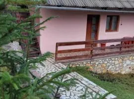 Vatra Moților
