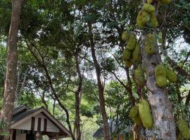 Eternal Forest Beach Bar&Bungalow