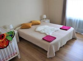 Comfortable Rica house in the centre in Billund，位于比伦德的酒店