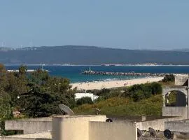 Bizertino