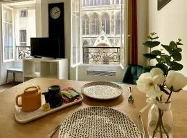 Appartement Vue Cathédrale- Centre ville Meaux-Gare-Disney