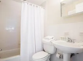 Airy, Modern 1BR downtown Boston