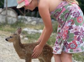 Thethi Paradise Hotel & Restaurant，位于泰斯的酒店