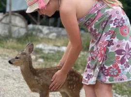 Thethi Paradise Hotel & Restaurant