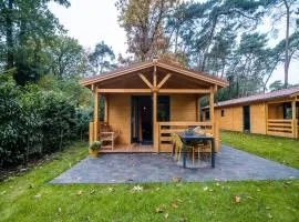 Holiday Home in Markelo near Forest & Pool