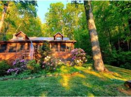 The Mountain Forager Cabin, Bryson City NC，位于布赖森城的酒店