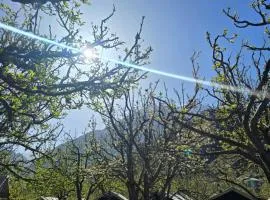 The Harshil Chardham Camps