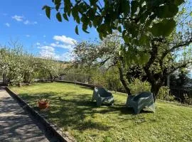 Villetta Indipendente fra i pini della Sila CS