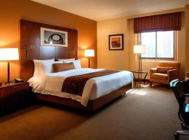 Hotel Palm Spring Plaza，位于新德里德里英迪拉•甘地国际机场 - DEL附近的酒店