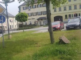 Hotel Goldener Löwe，位于弗劳恩施泰因山的酒店