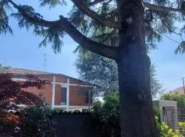 Comfortable apartment - Monza park with garage