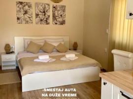 Airport Apartments Alexandra，位于Surčin的酒店