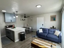 DOWNTOWN DALLAS LUX ABODE 1BD