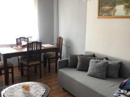 Mieszkanie do wynajęcia w Centrum，位于奥莱茨科的酒店