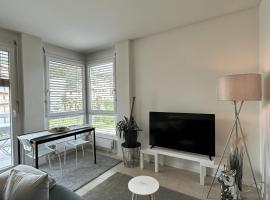 Free Parking - Near the Lake - Lugano apartment，位于帕拉迪索的酒店