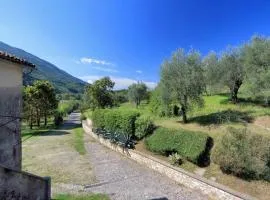 Il Gallo d' Oro - Scoiattolo