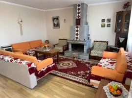 Among cherries & Village