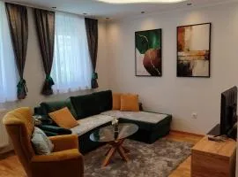 Apartman Višnja