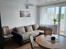 Gluosnių apartamentai