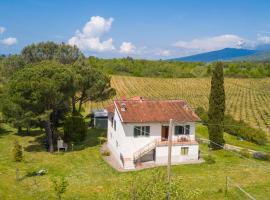 Family Tuscan Home among the vineyard - Happy Rentals，位于特拉诺瓦-布拉乔利尼的酒店