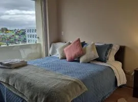 Departamento Central Osorno 2