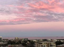 CBD Penthouse Retreat - Stunning Ocean & City View，位于卧龙岗的酒店