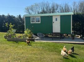 Toms Hut and Robins Rest Shepherd Huts near Wadebridge，位于韦德布里奇的别墅