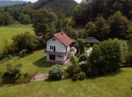 Vikendica Niki - Village house with pool，位于Ćetojevići的酒店