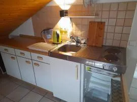 Trochtelfingen F1