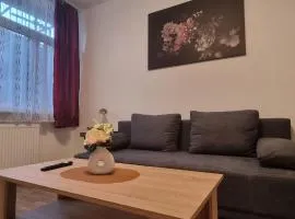 City Apartment 2 Triberg