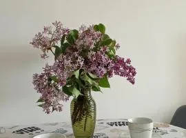 Słoneczne Centrum Apartament