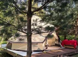 Glamping under the pines