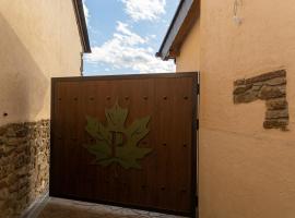 Hotel Rural El Pingón，位于Manzanal de Arriba的酒店