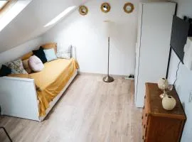 Sous les Etoiles - RER A Champigny-St-Maur- Parc St-Maur