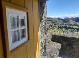 O Pomar do Gasparinho