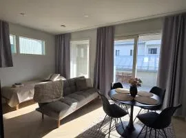 Apartment Hakalahdenkatu