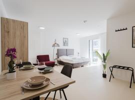 Das InnSight Appartementhaus - Appartements mit und ohne Küchen，位于帕绍的酒店
