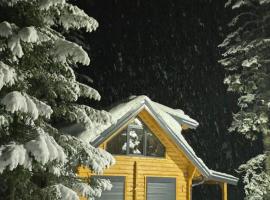 Mirsads Mountain Cottage，位于普拉夫的木屋