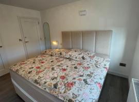 Cosy and beautiful home Vegetarians only，位于都柏林的酒店